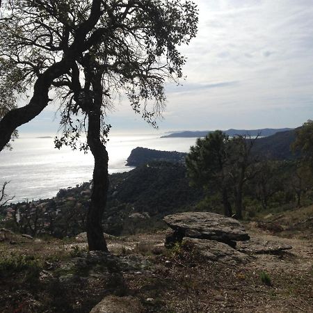 Chemin de la Roseraie Cavalaire-sur-Mer Exterior foto